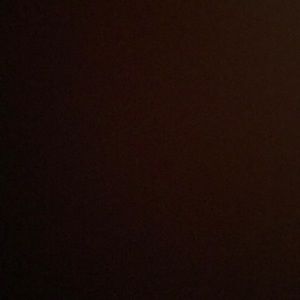 Meet your Posher, Riley